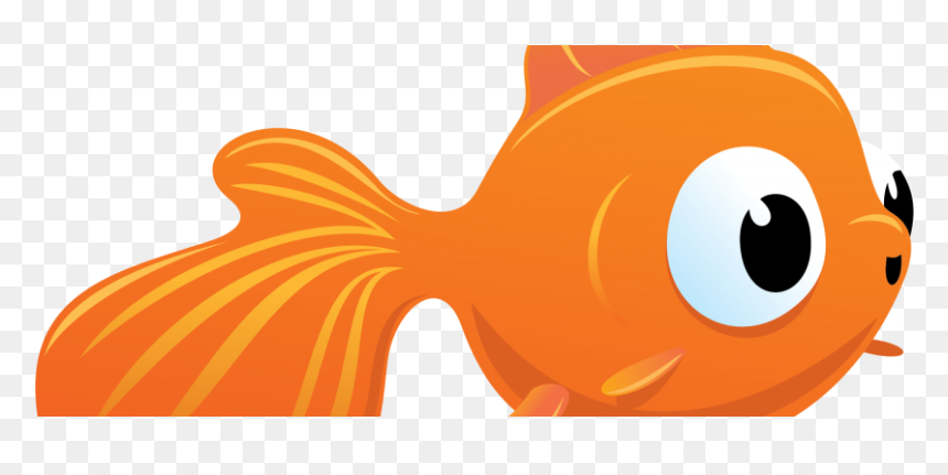 Clip Art, HD Png Download - goldfish png