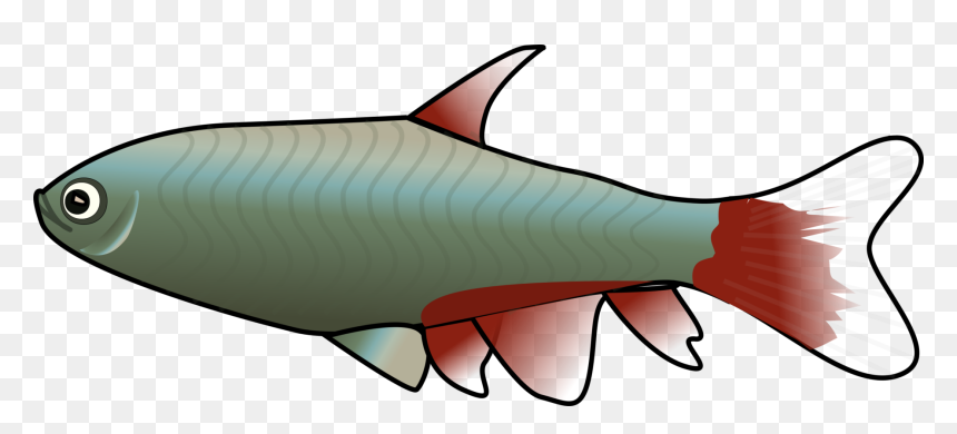 Clipart Fish, HD Png Download - goldfish png