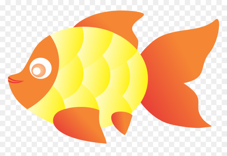 Illustration, HD Png Download - goldfish png