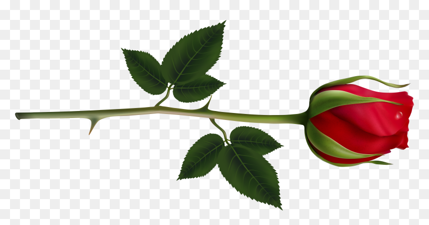Png Image Rose Transparent, Png Download - compass rose png