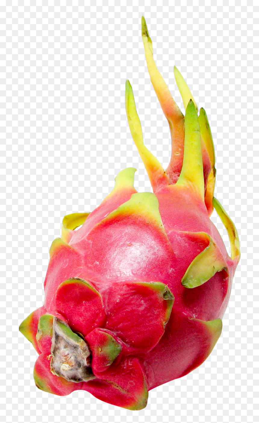 Dragonfruit Png, Transparent Png - fruits png