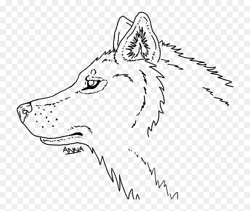 Wolf Head Line Drawing, HD Png Download - wolf head png