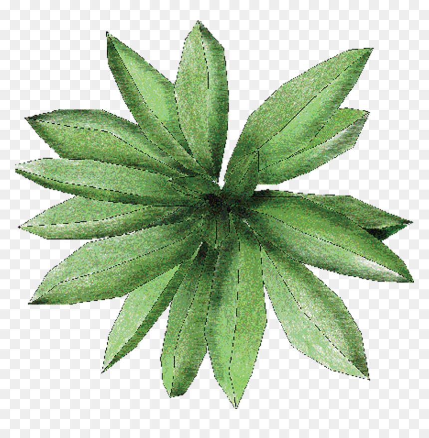 Architecture Tree Png Plan, Transparent Png - tree plan png