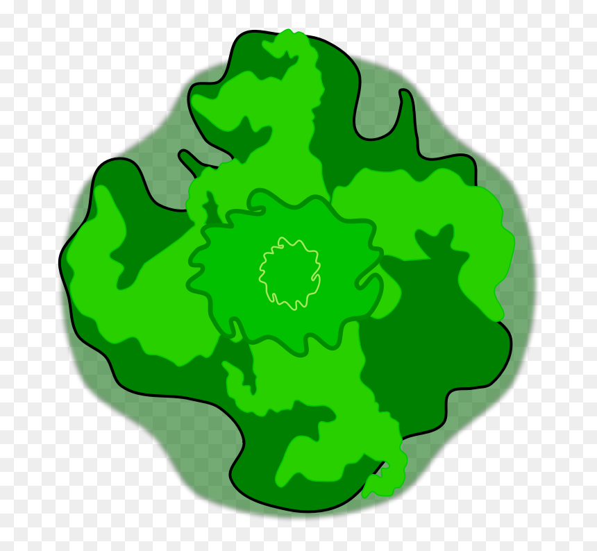 Clip Art, HD Png Download - tree plan png