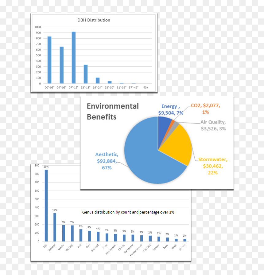 Screenshot, HD Png Download - tree plan png