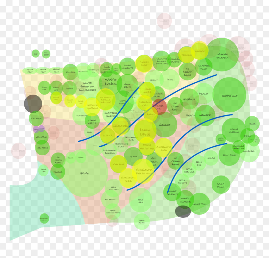Circle, HD Png Download - tree plan png