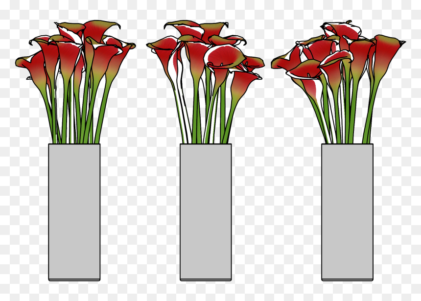 Giant White Arum Lily, HD Png Download - grass flower png