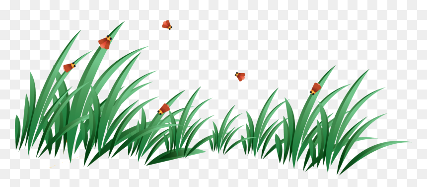 Трава Анимация, HD Png Download - grass flower png