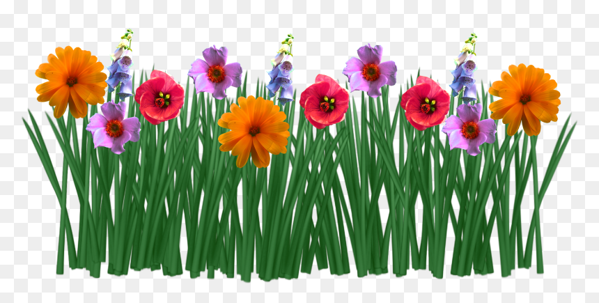 Flowers In Grass Drawing, HD Png Download - grass flower png