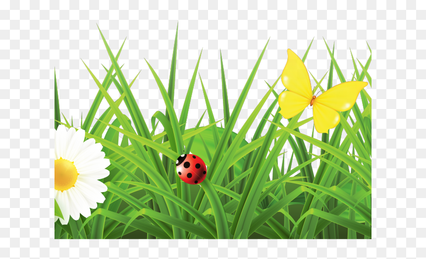Flowers Hd Images Png, Transparent Png - grass flower png