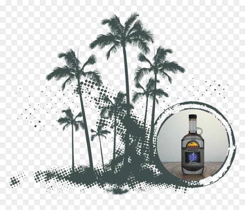Vector Graphics, HD Png Download - palms png