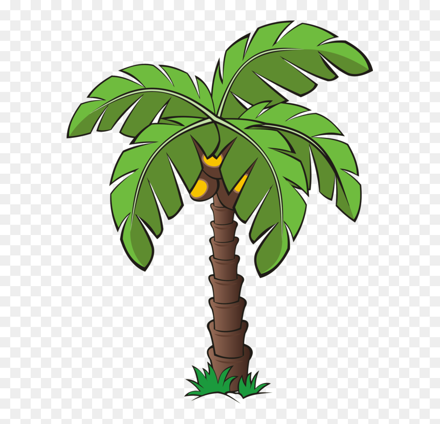 Trees And Plants Clipart, HD Png Download - palms png