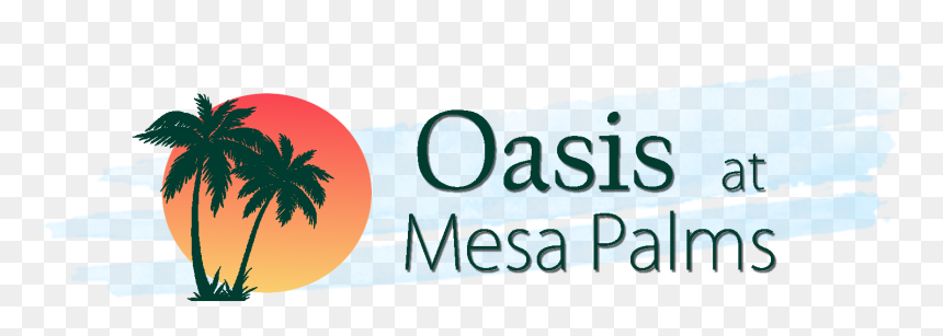 Palm Tree, HD Png Download - palms png