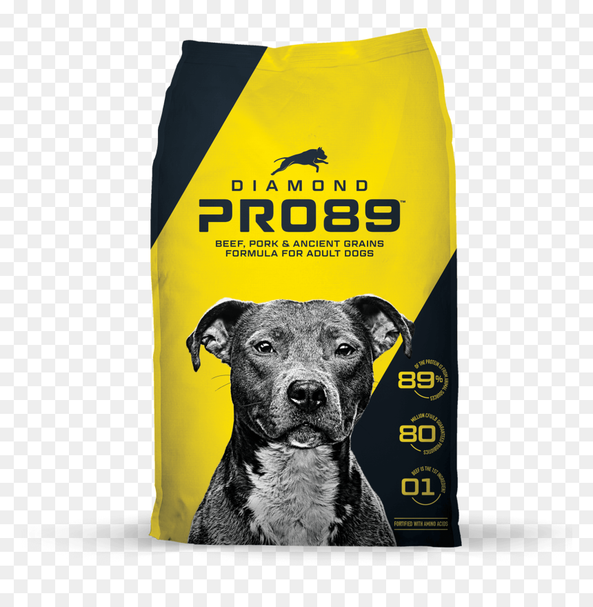 Whippet, HD Png Download - dog filter png