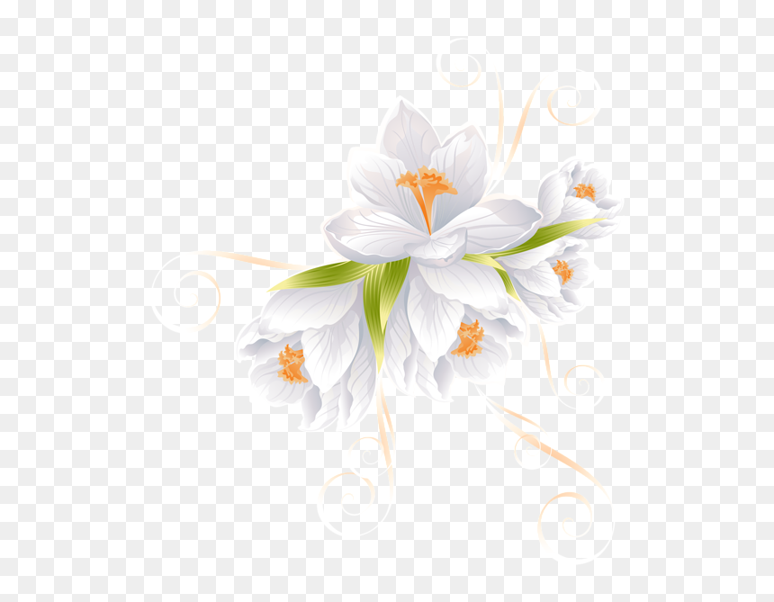 Vector Flower, HD Png Download - white flowers png