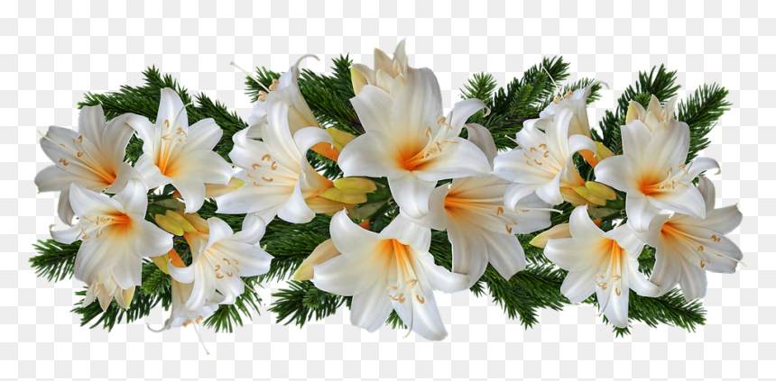 Easter Lilies, HD Png Download - white flowers png