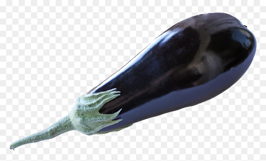 Eggplant, HD Png Download - eggplant png