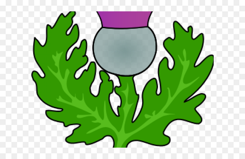 Scottish Flag With Thistle, HD Png Download - thistle png