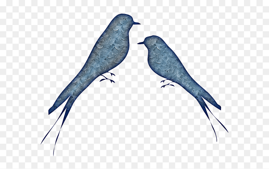 Mountain-bluebird - Bird, HD Png Download - bluebird png