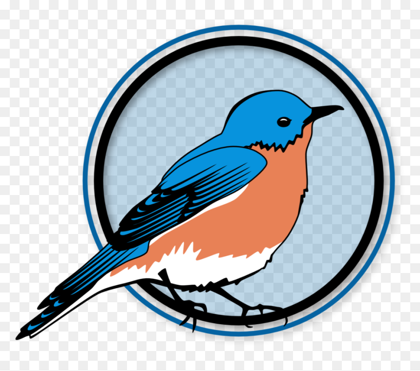 Eastern Bluebird , Transparent Cartoons - Mountain Bluebird, HD Png Download - bluebird png