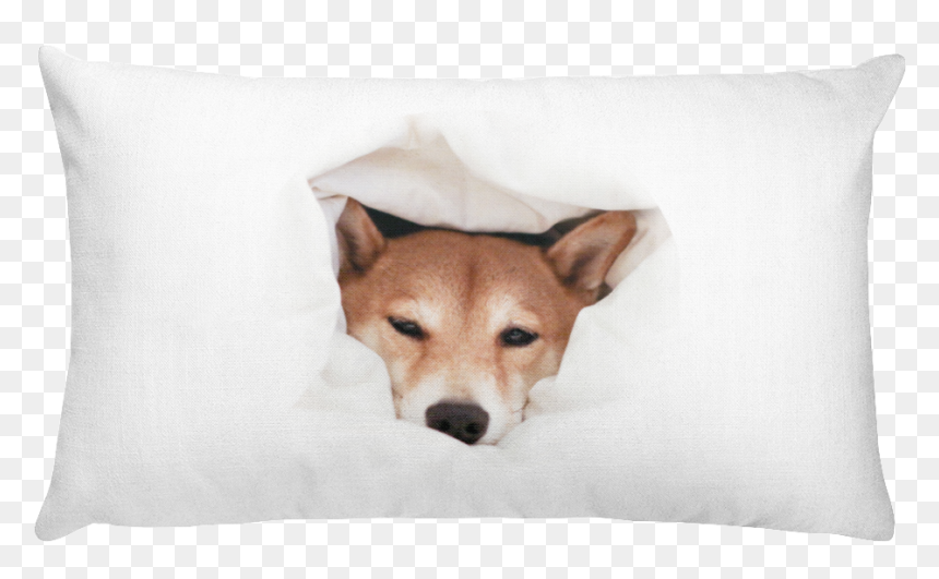Sleepy Shibe Premium Pillow - Patience Word, HD Png Download - shibe png