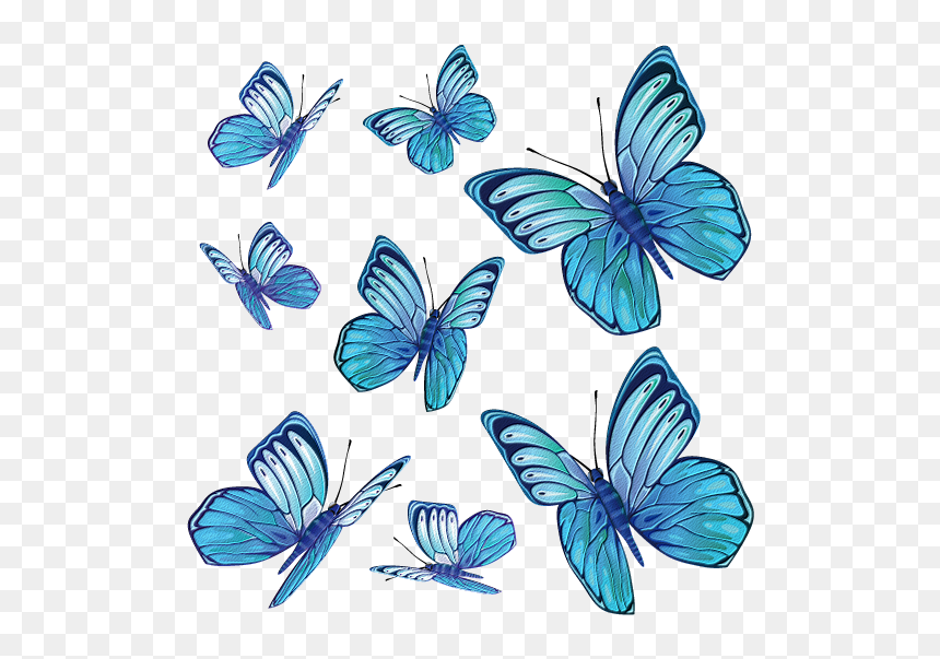 Thumb Image - Butterfly, HD Png Download - papillon png