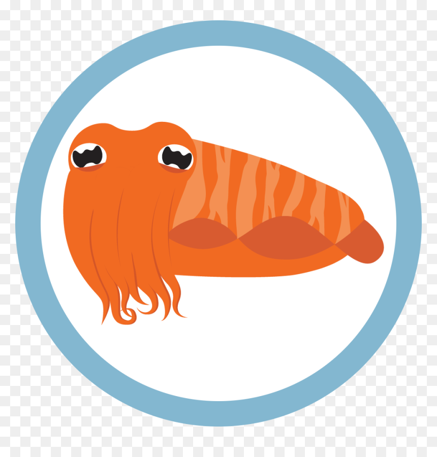 Clip Art, HD Png Download - cuttlefish png
