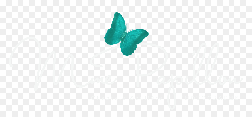 Mme Papillon , Png Download - Calligraphy, Transparent Png - papillon png