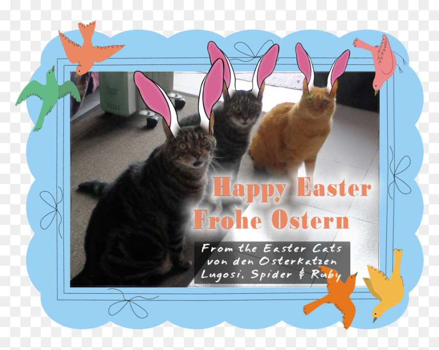 Happy Easter From The Easter Cats - Squitten, HD Png Download - mad cat png