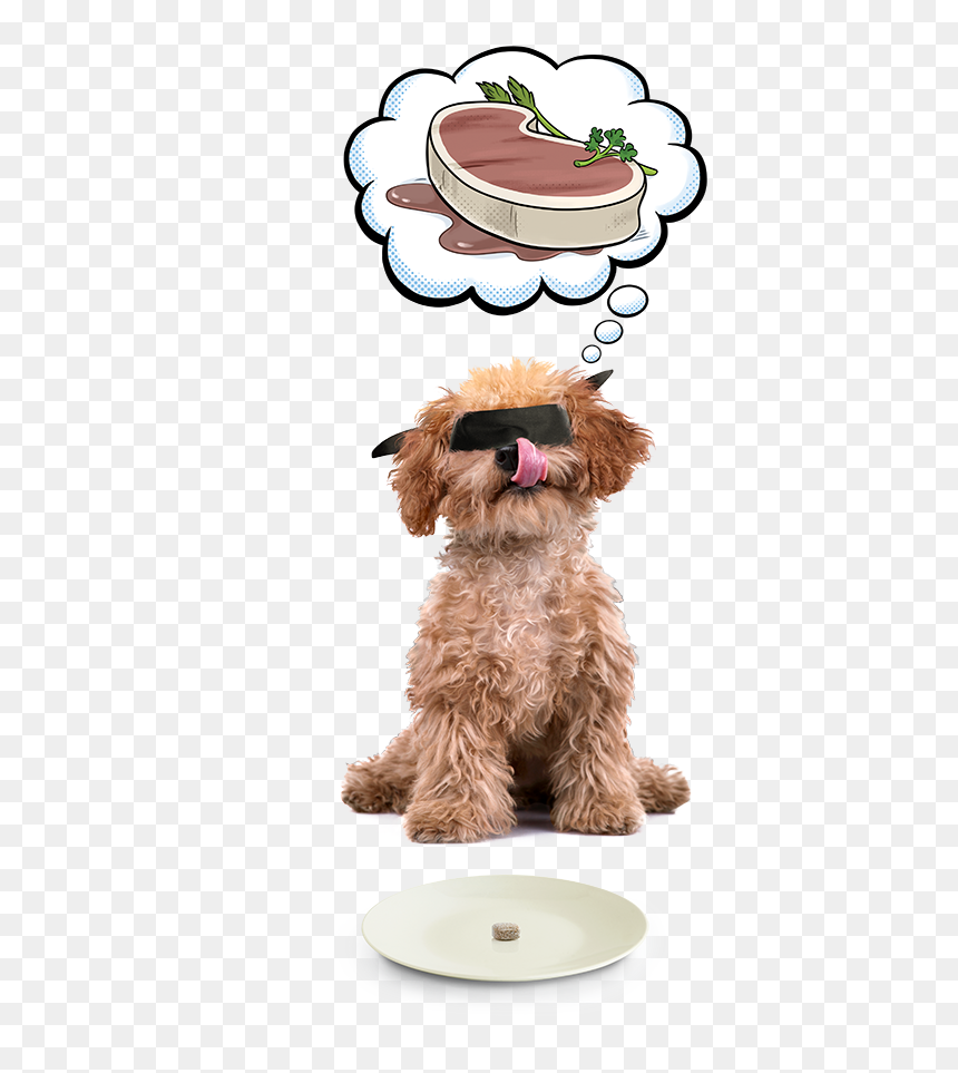Dog, HD Png Download - bubble puppy png