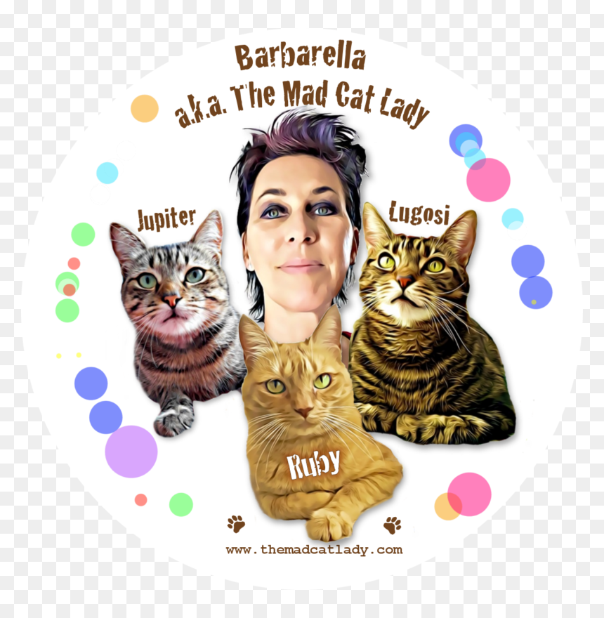 Domestic Short-haired Cat, HD Png Download - mad cat png
