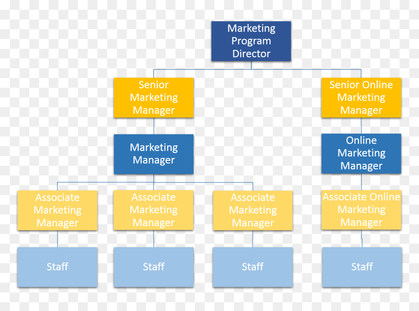 Google Marketing Department Structure, HD Png Download - walmart store png