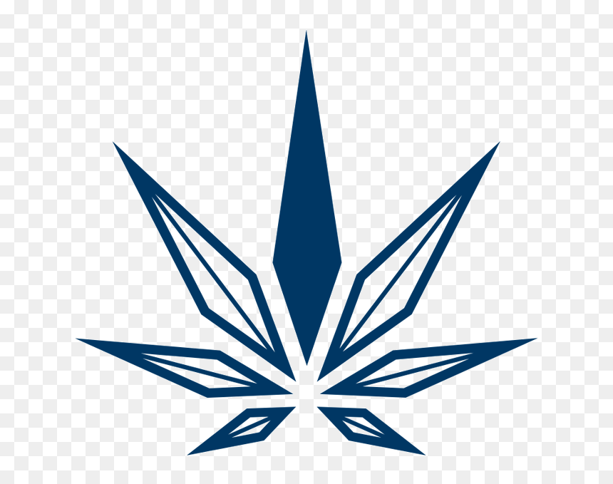 Hollister Cannabis Co, HD Png Download - hollister png