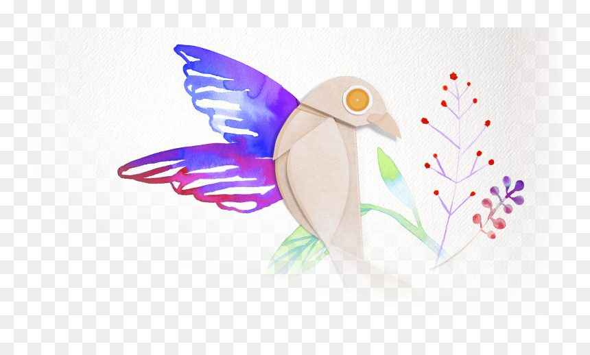 Hollister-dignity Hero Image, HD Png Download - hollister png