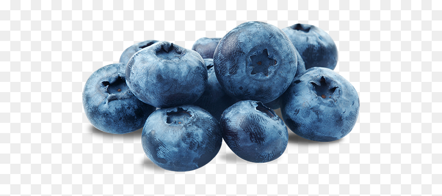 Clip Art Mold On Blueberries - Tsunami Disposable E Cig, HD Png Download - blue berry png