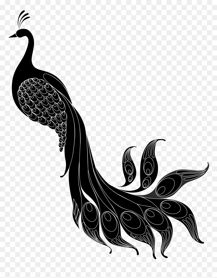 Pheasant Vector Abstract - Illustration, HD Png Download - pheasant png