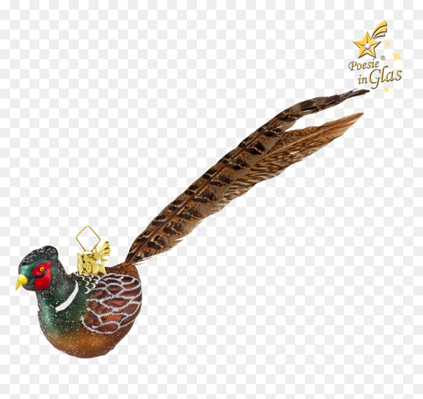 Pheasant - Turkey, HD Png Download - pheasant png