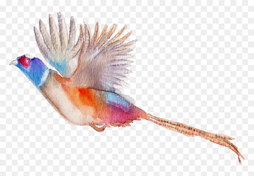 Jsquarepresents Flying Pheasant Clip Art, HD Png Download - pheasant png