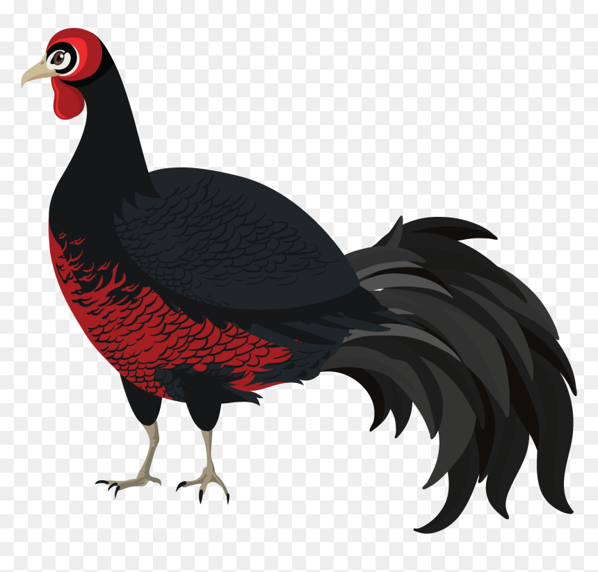 Pheasant, HD Png Download - pheasant png