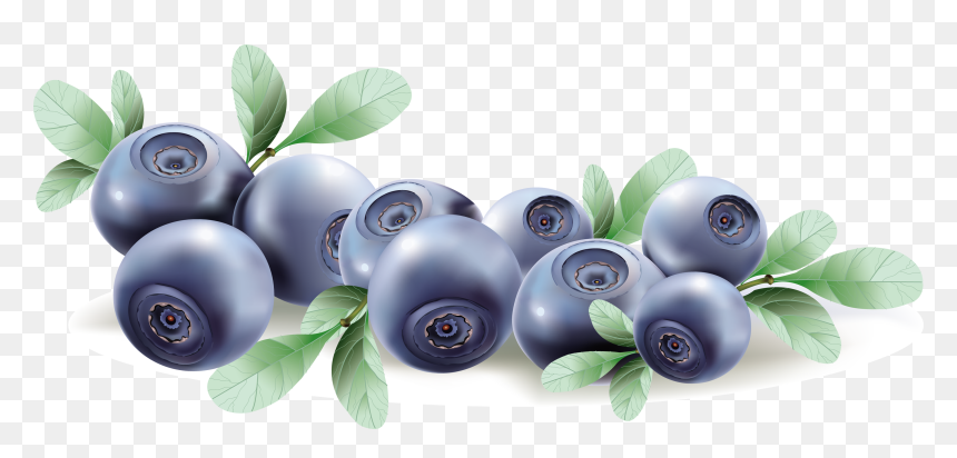 Blueberries Png, Transparent Png - blue berry png