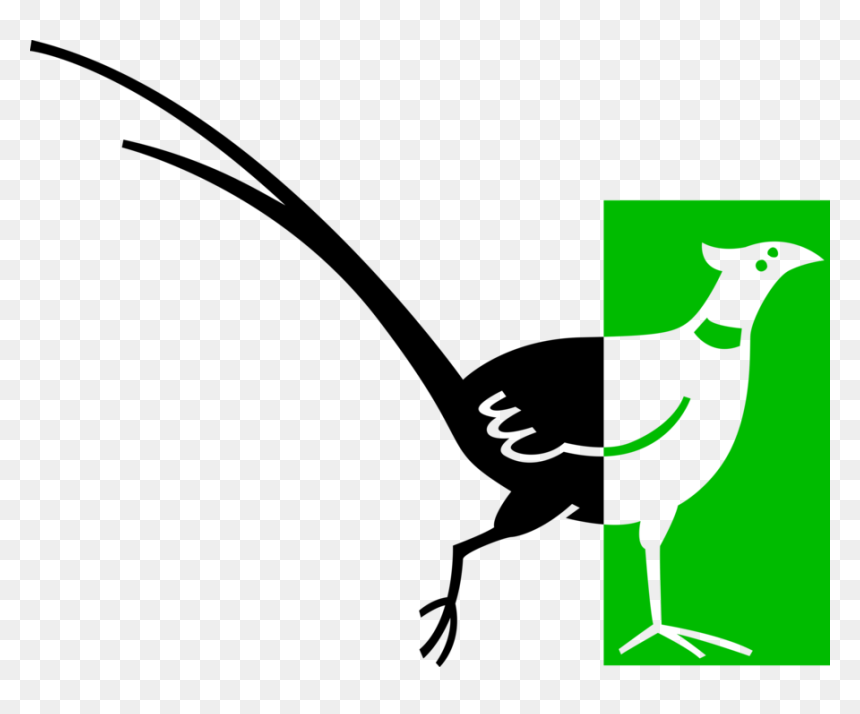 Vector Illustration Of Brightly Colored Pheasant Bird - Pheasant Clip Art, HD Png Download - pheasant png