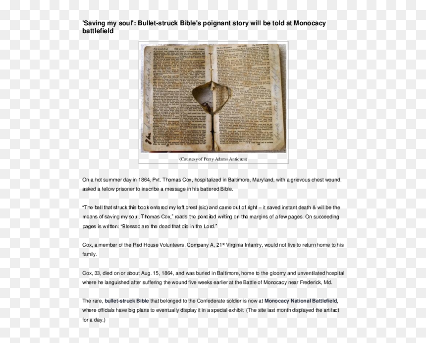 Document, HD Png Download - bullet mark png