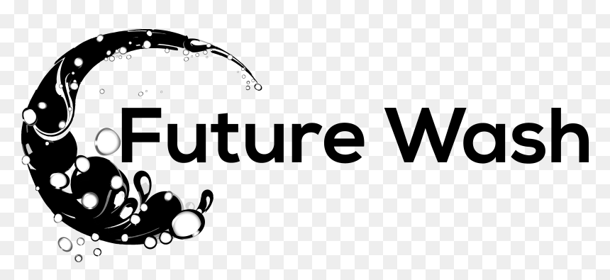 Future Wash - Logo Wash, HD Png Download - brandy melville stickers png