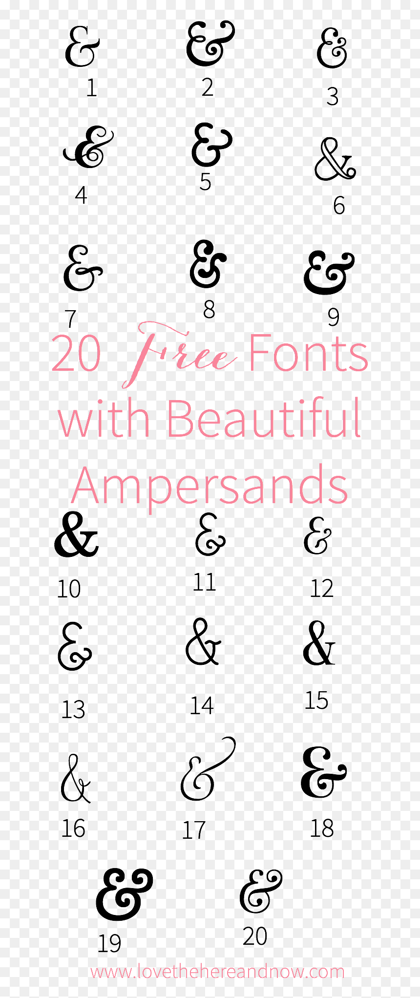 Bloom And Wild, HD Png Download - fancy ampersand png