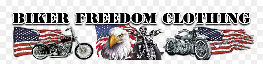 Bald Eagle, HD Png Download - iron sharpens iron png