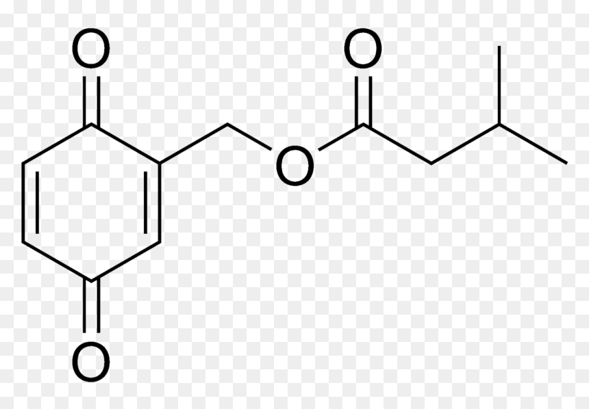Molecular Weight Of Phthalic Acid, HD Png Download - roaches png