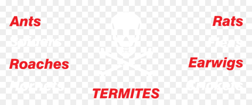 Delta Onderwijs, HD Png Download - roaches png