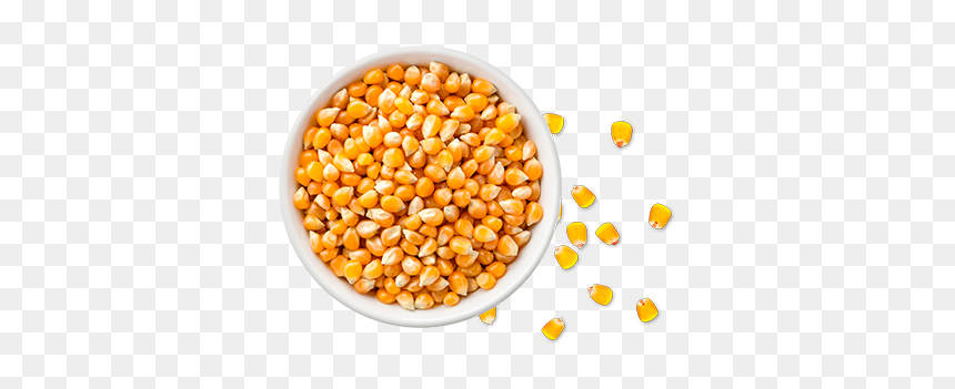 Kernels In A Bowl, HD Png Download - palomitas png