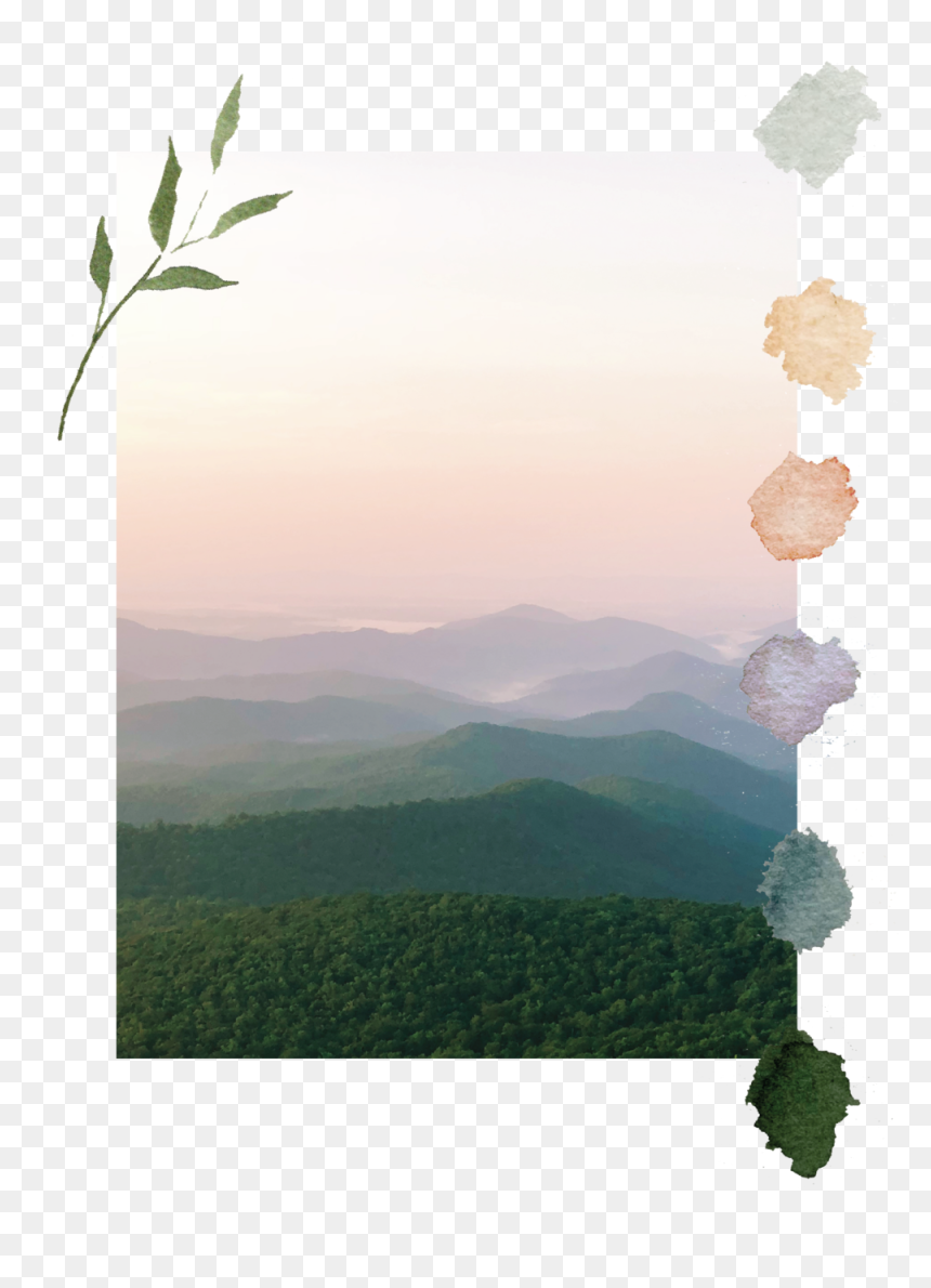 Mountain Layers Color Swatch-01 - Tree, HD Png Download - color swatches png