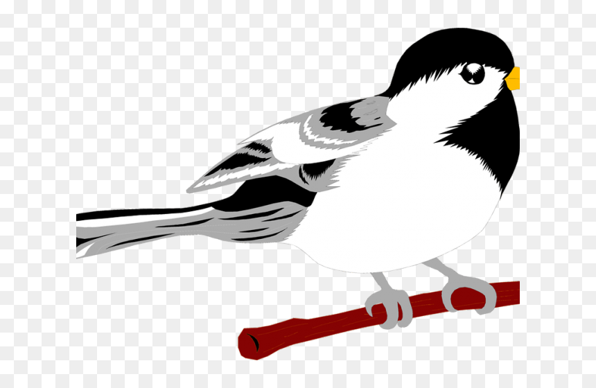 Small Clipart Seagull - Clip Art, HD Png Download - seagul png